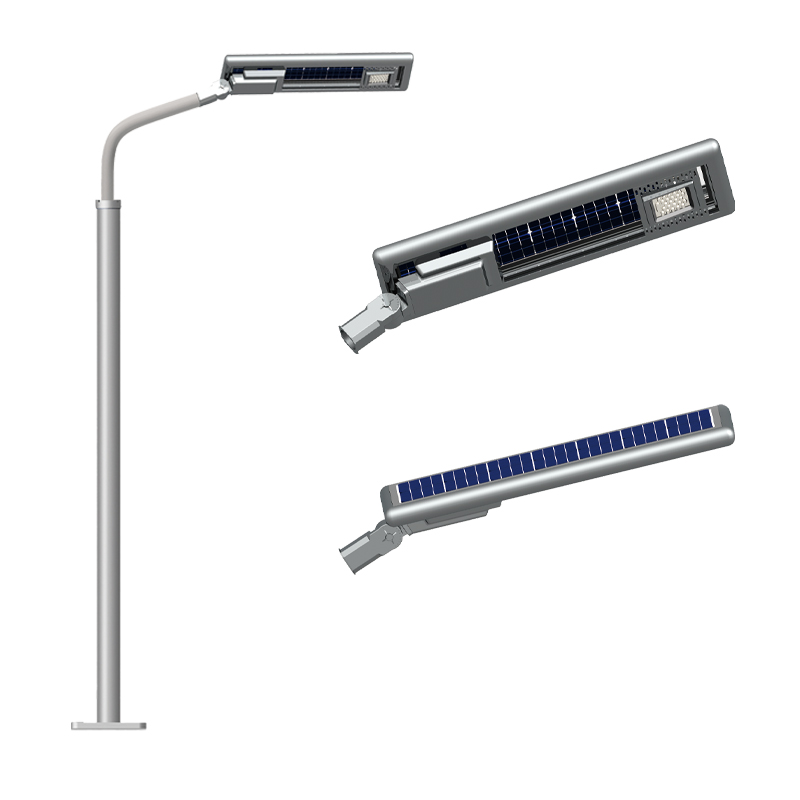 20W LED Solar Street Light with Bifacial Solar Panel 2FSG072-NEWLIGHT ENERGY